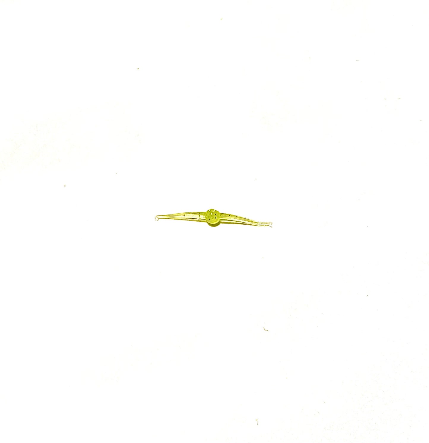 1" wacky worm (10 Pack)