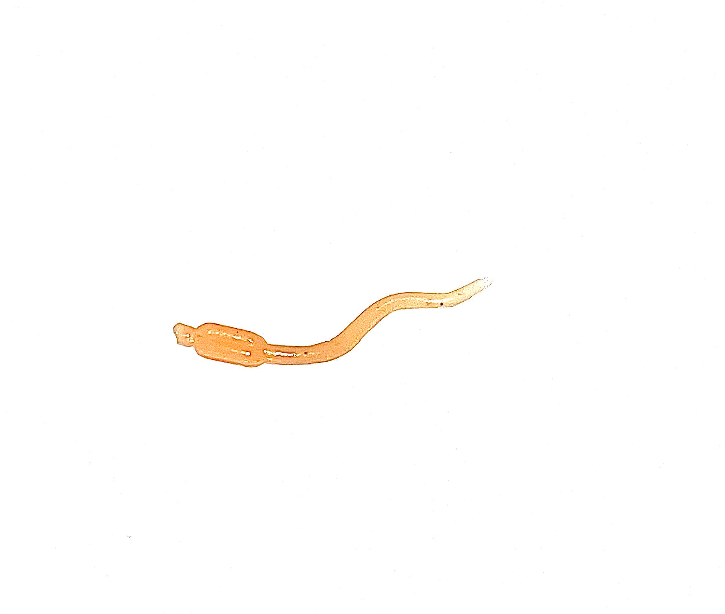 1" spike (10 Pack)