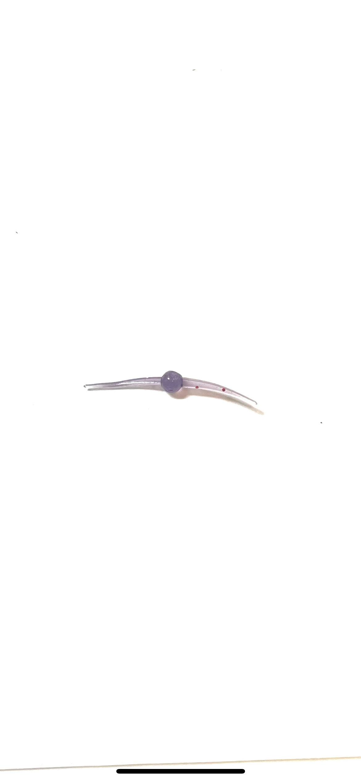 1" wacky worm (10 Pack)