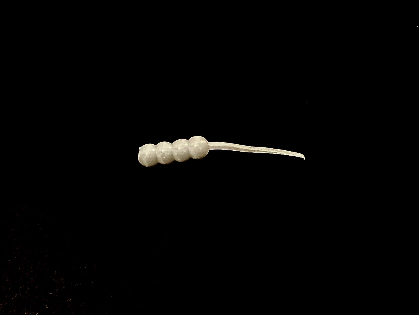 1" Waxy Wriggler  (10 Pack)